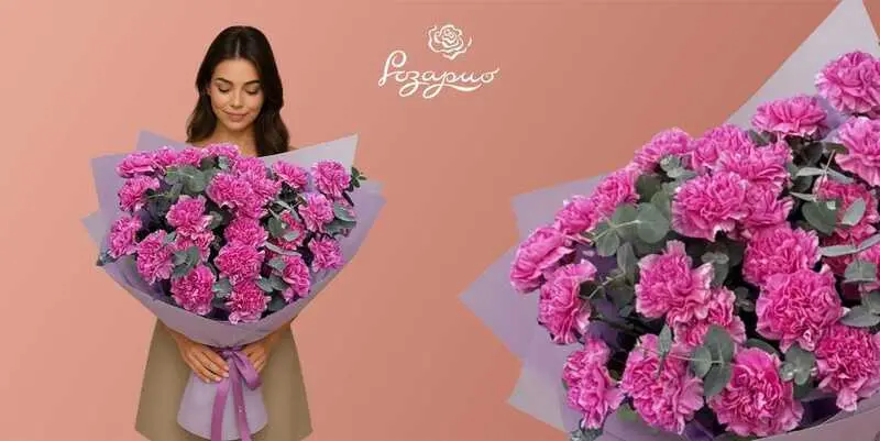 Огромный букет розовых гвоздик, фронтальный вид, в руках у девушки